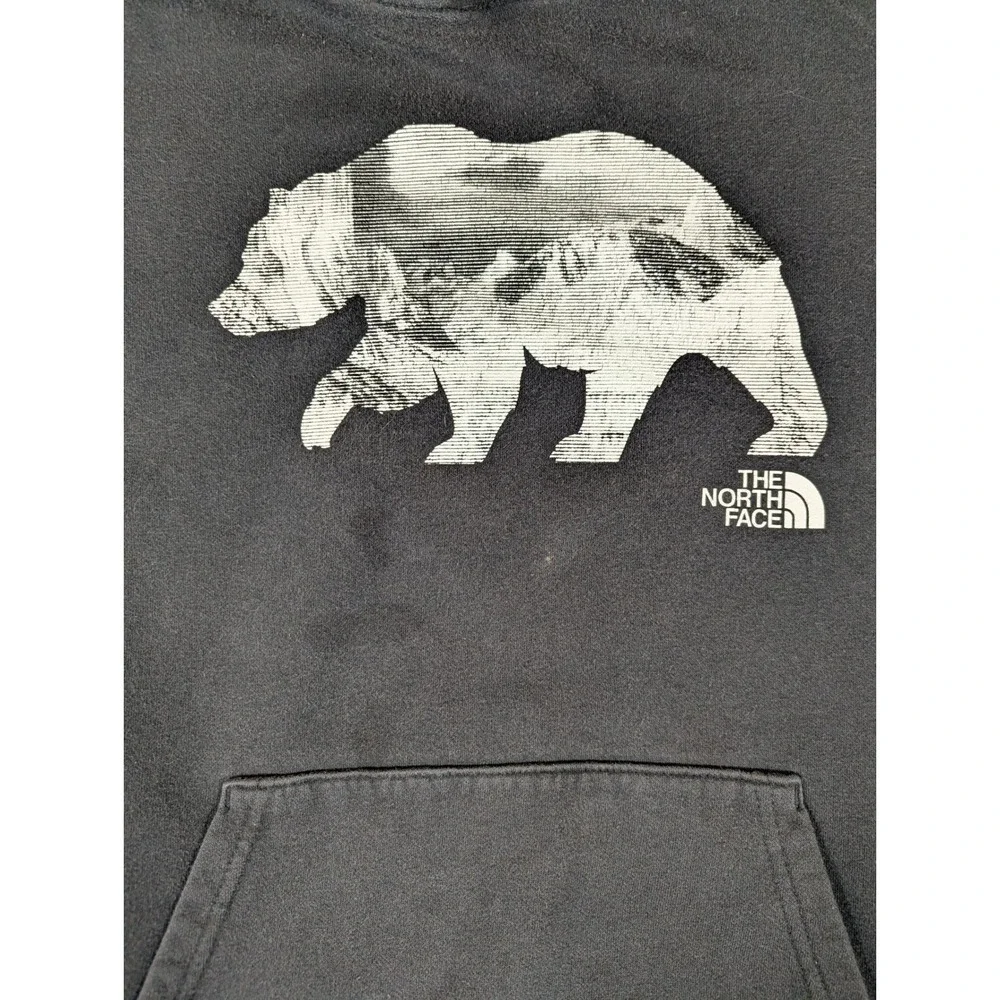 North‎ Face Men Grizzly Bear Mountain Graphic Hoodie Black Sleeve Logo M #2339